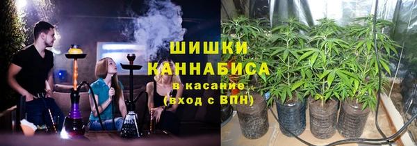 прущие крисы Аркадак