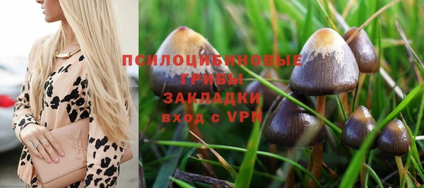 прущие крисы Аркадак