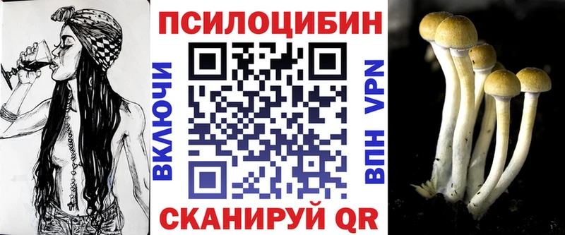 Галлюциногенные грибы Cubensis  Сосновка 