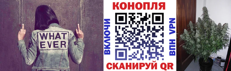 Бошки Шишки Ganja  Сосновка 